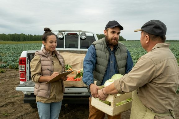 Trois personnes échangent des légumes près d'un camion dans un champ.